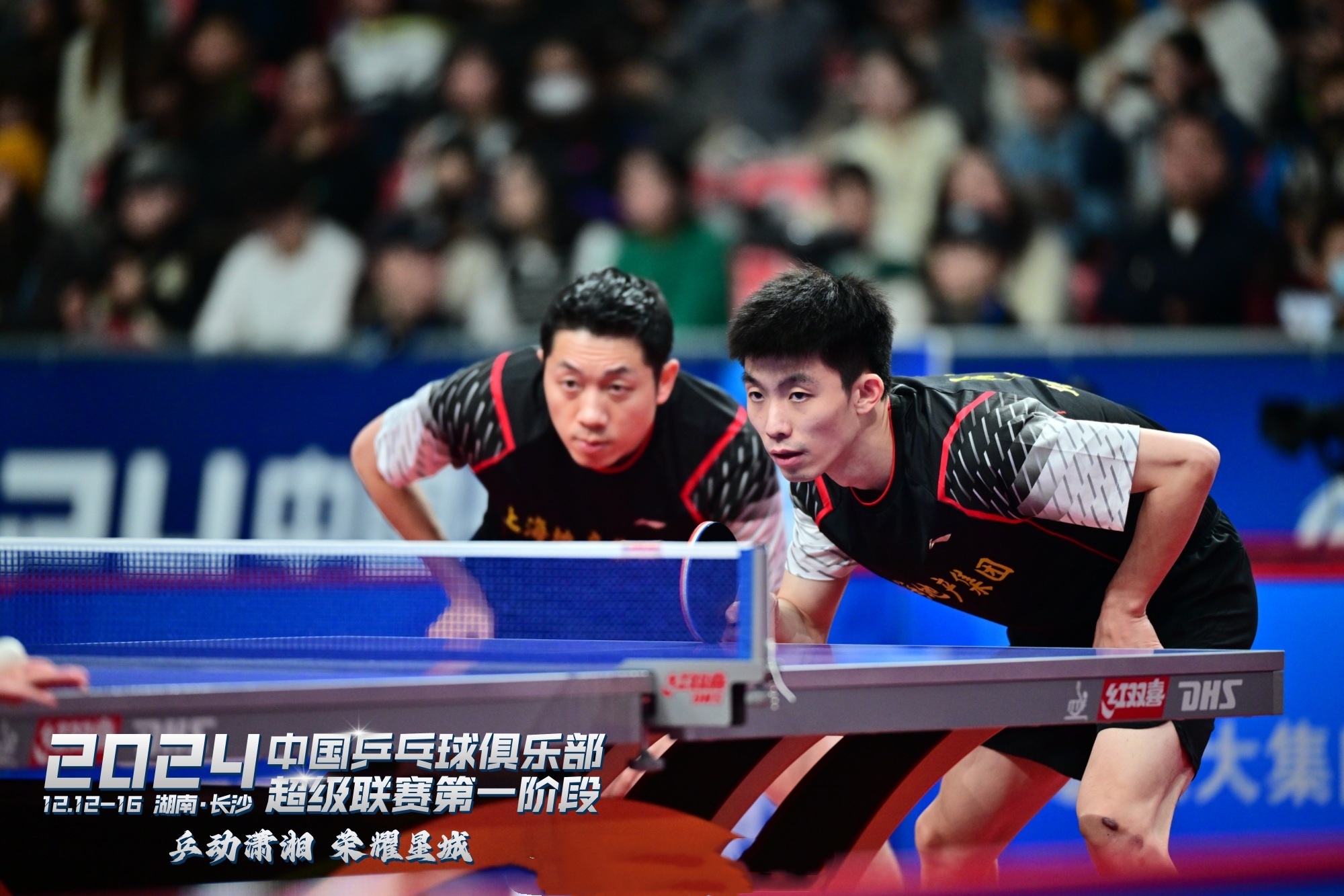 波兰队鏖战韩国队，许昕高光表现