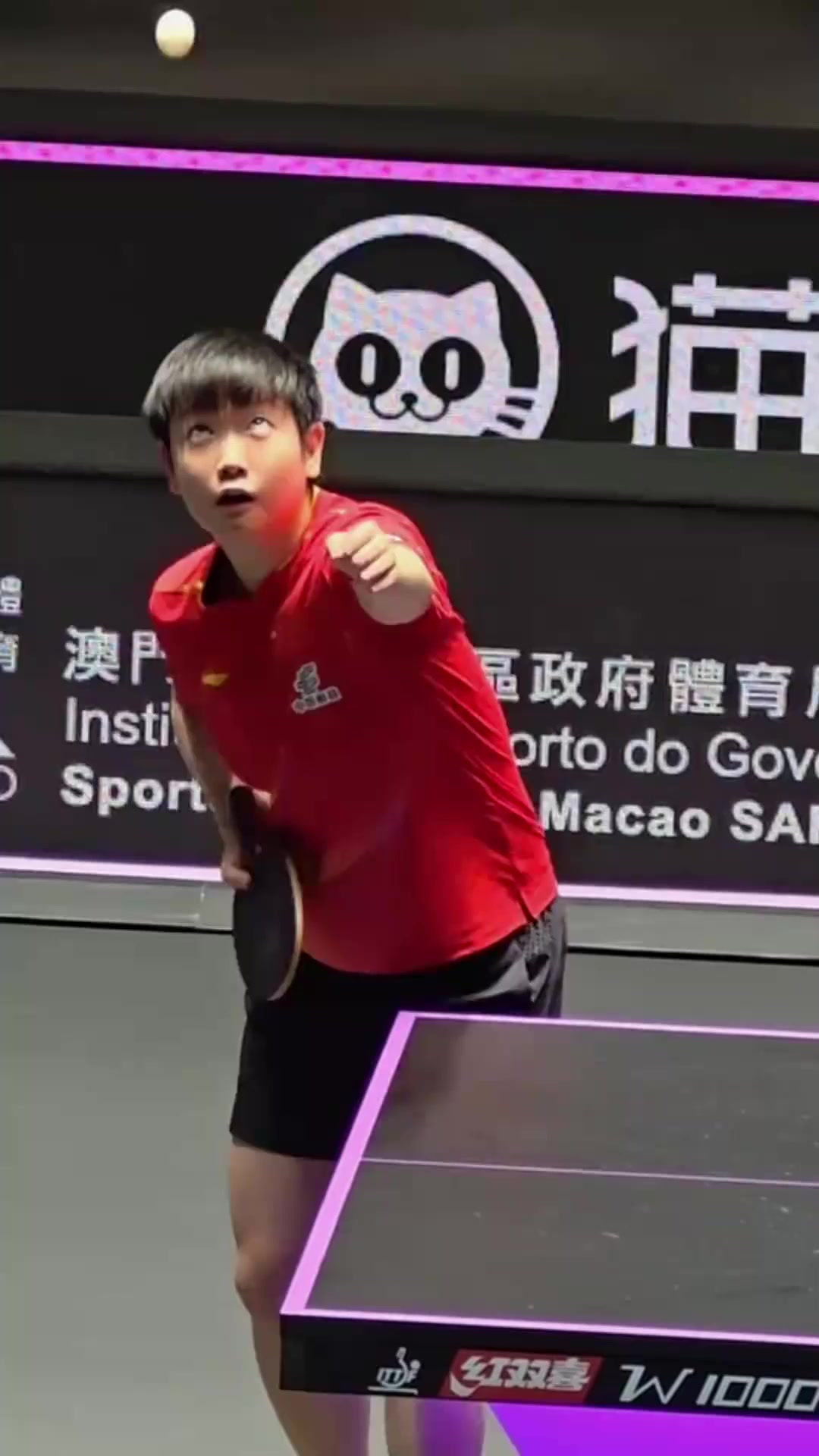 法国羽毛球队逆转日本羽毛球队，马琳统治全场