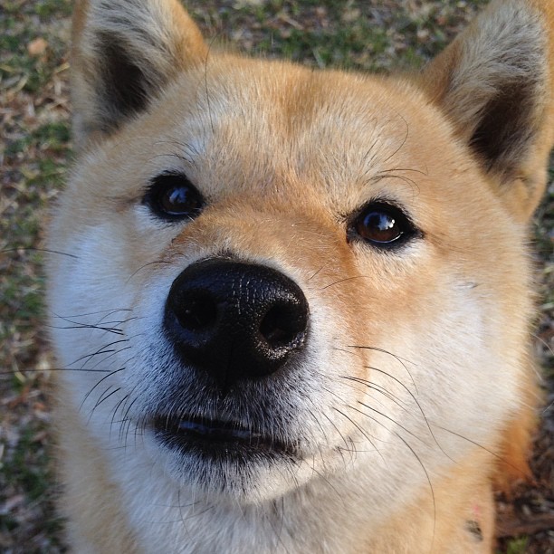 跨界传奇,马刺血拼雷霆之夜,克莱欧冠半决赛接管比赛
