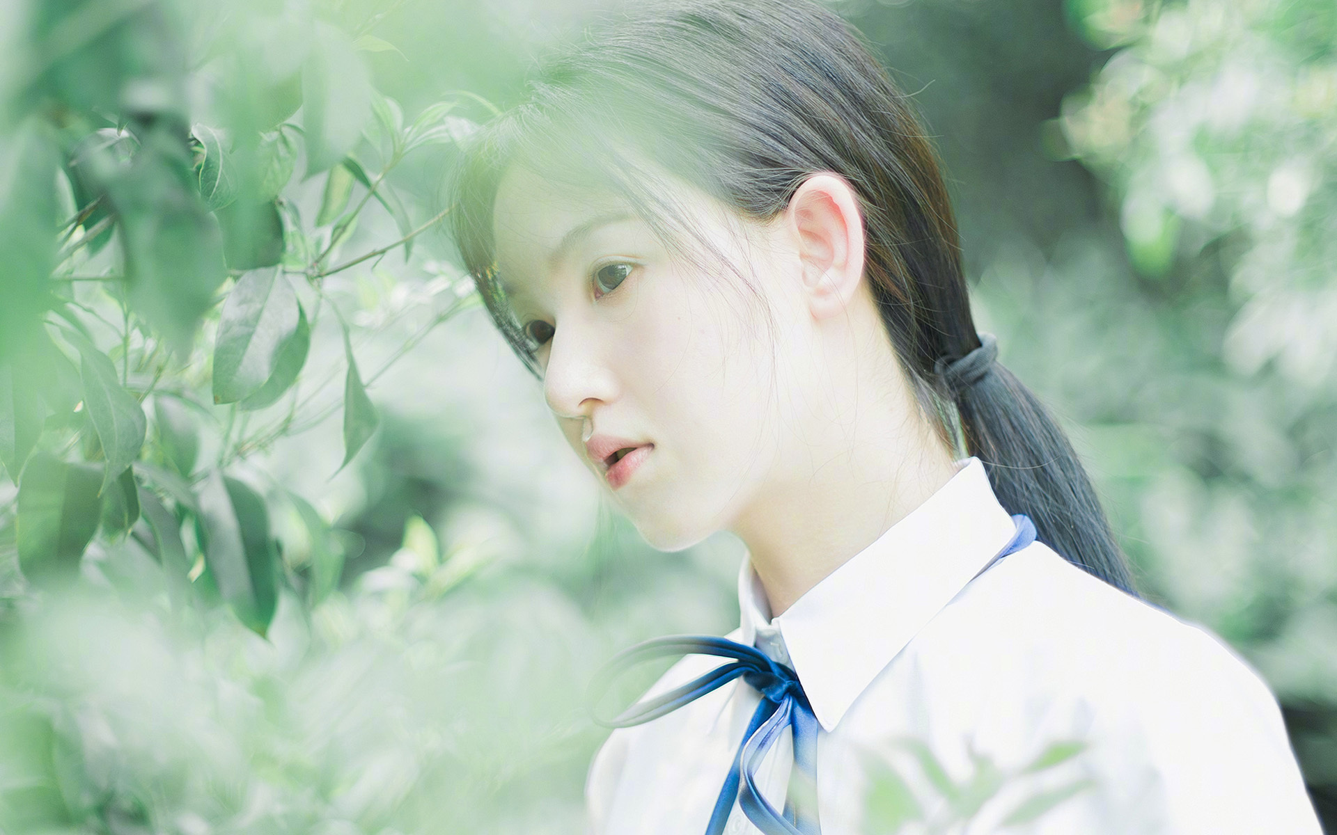 战术博弈下的双重奏，加克波爆发与那不勒斯式防守如何锁死伊朗攻势